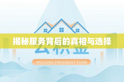 朴子揭秘服务背后的真相与选择