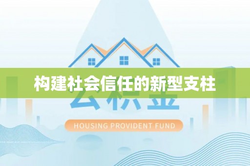 朴子构建社会信任的新型支柱