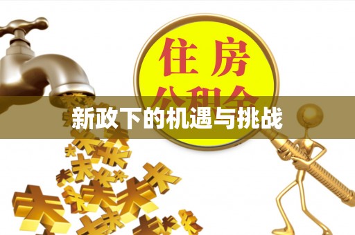 朴子新政下的机遇与挑战