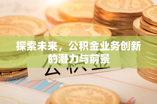 朴子探索未来，公积金业务创新的潜力与前景