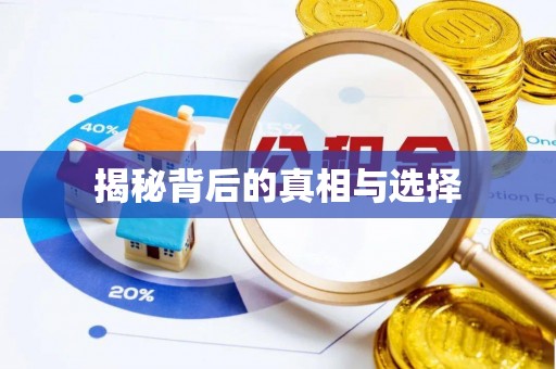 朴子揭秘背后的真相与选择