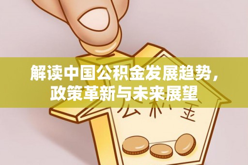 朴子解读中国公积金发展趋势，政策革新与未来展望