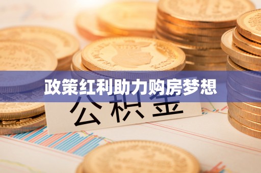 朴子政策红利助力购房梦想