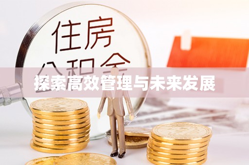 朴子探索高效管理与未来发展