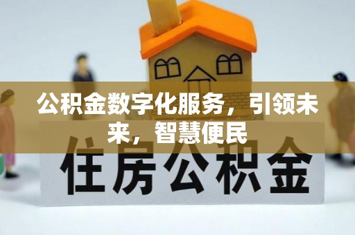 朴子公积金数字化服务，引领未来，智慧便民