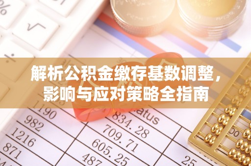 朴子解析公积金缴存基数调整，影响与应对策略全指南