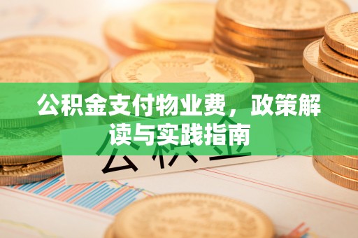 朴子公积金支付物业费，政策解读与实践指南