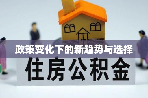 朴子政策变化下的新趋势与选择