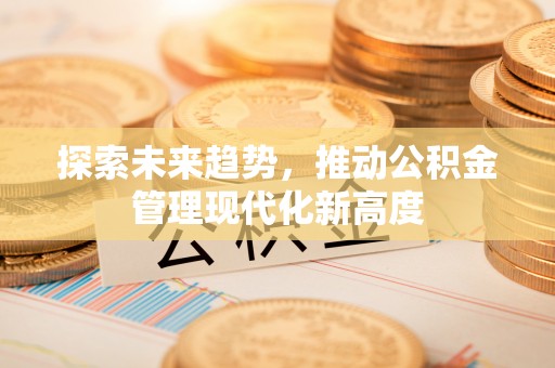 朴子探索未来趋势，推动公积金管理现代化新高度