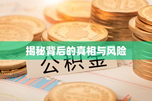 朴子揭秘背后的真相与风险