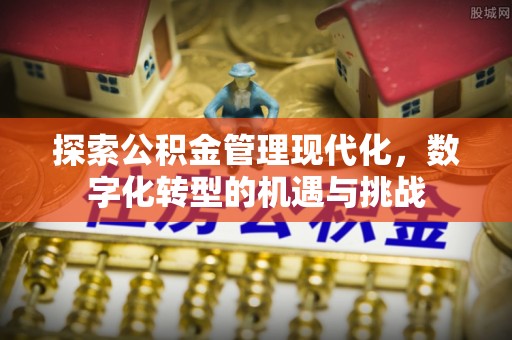 朴子探索公积金管理现代化，数字化转型的机遇与挑战