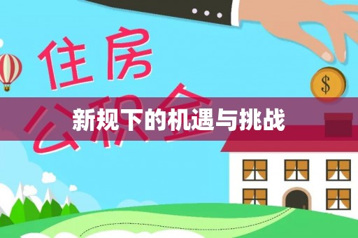 朴子新规下的机遇与挑战