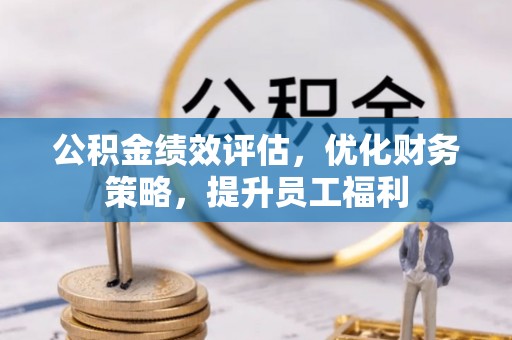 朴子公积金绩效评估，优化财务策略，提升员工福利