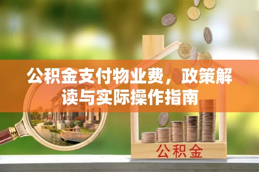 朴子公积金支付物业费，政策解读与实际操作指南