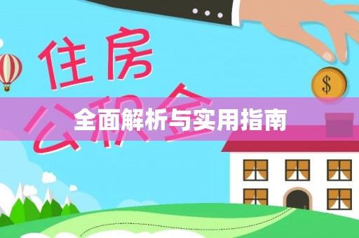朴子全面解析与实用指南