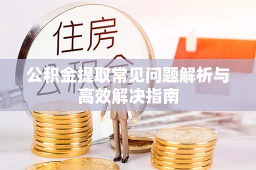 朴子公积金提取常见问题解析与高效解决指南