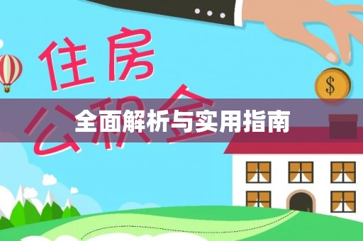 朴子全面解析与实用指南
