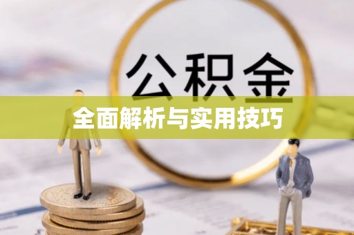 朴子全面解析与实用技巧