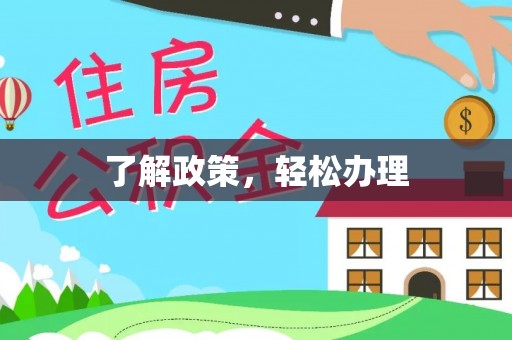 朴子了解政策，轻松办理