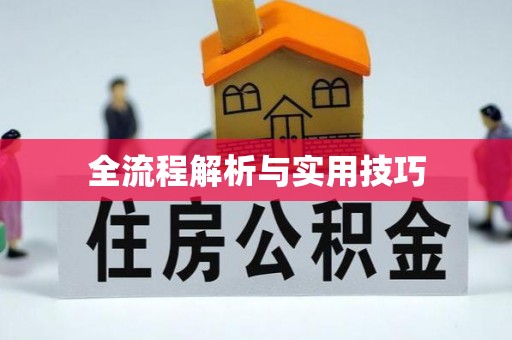 朴子全流程解析与实用技巧