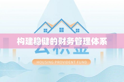 朴子构建稳健的财务管理体系