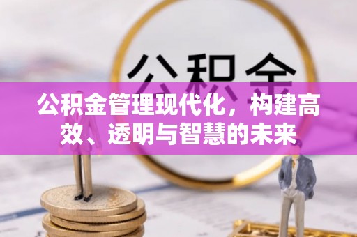 朴子公积金管理现代化，构建高效、透明与智慧的未来