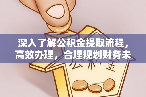朴子深入了解公积金提取流程，高效办理，合理规划财务未来