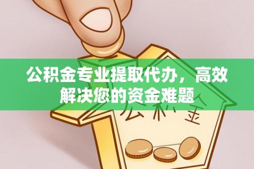 朴子公积金专业提取代办，高效解决您的资金难题