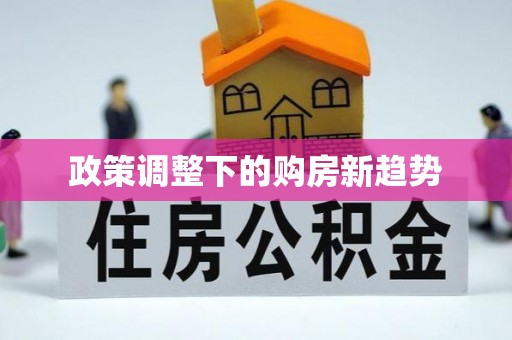 朴子政策调整下的购房新趋势