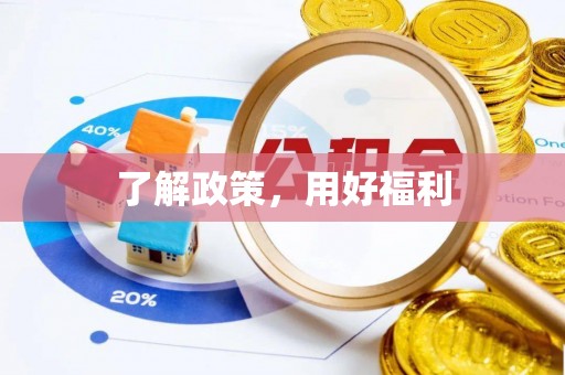 朴子了解政策，用好福利