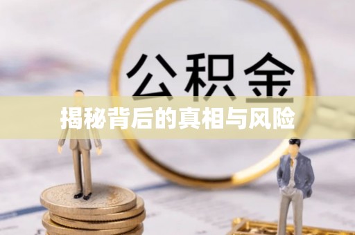 朴子揭秘背后的真相与风险