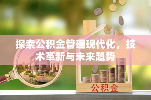 朴子探索公积金管理现代化，技术革新与未来趋势