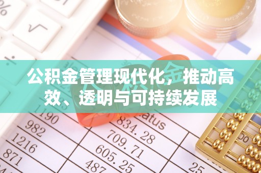 朴子公积金管理现代化，推动高效、透明与可持续发展