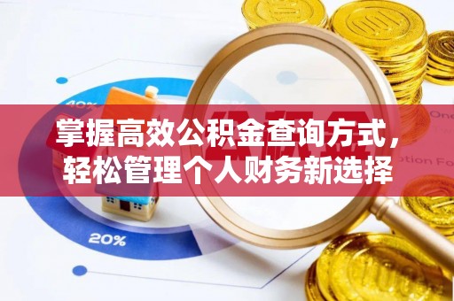 朴子掌握高效公积金查询方式，轻松管理个人财务新选择