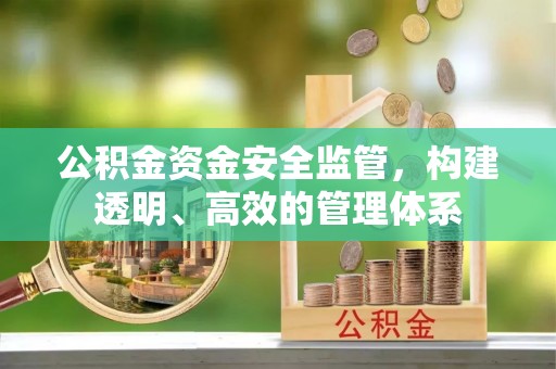 朴子公积金资金安全监管，构建透明、高效的管理体系