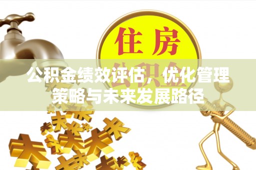 朴子公积金绩效评估，优化管理策略与未来发展路径