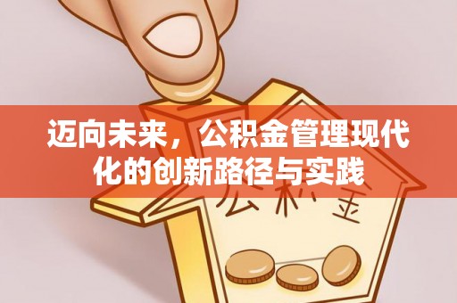 朴子迈向未来，公积金管理现代化的创新路径与实践