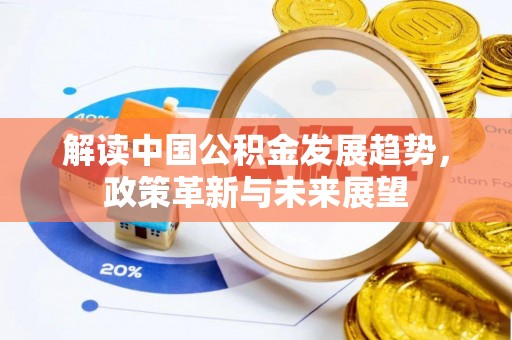 朴子解读中国公积金发展趋势，政策革新与未来展望