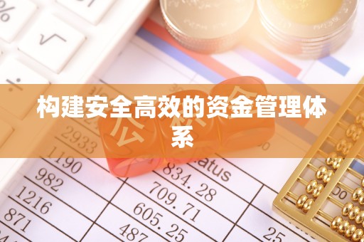 朴子构建安全高效的资金管理体系