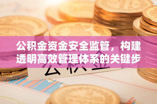 朴子公积金资金安全监管，构建透明高效管理体系的关键步骤