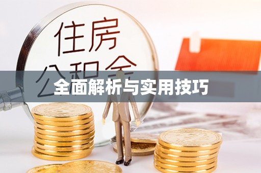 朴子全面解析与实用技巧