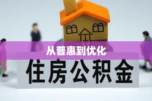 朴子从普惠到优化