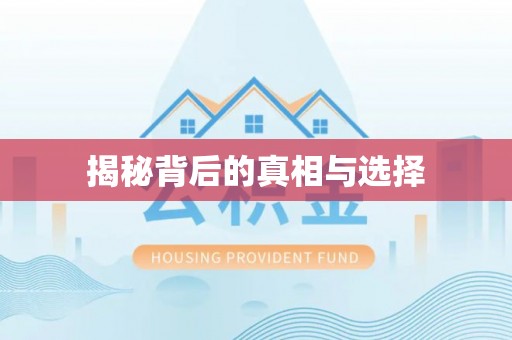朴子揭秘背后的真相与选择