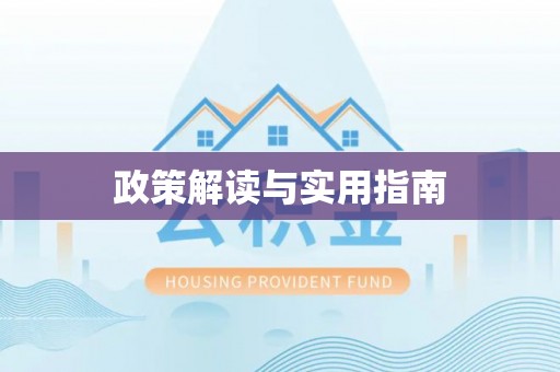 朴子政策解读与实用指南