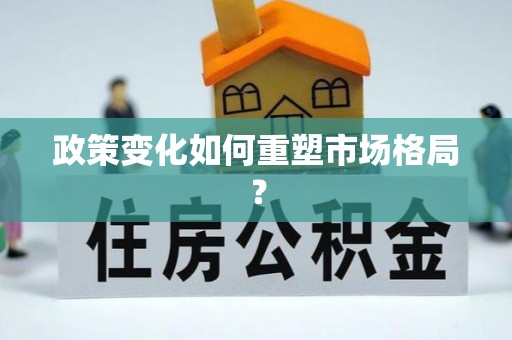 朴子政策变化如何重塑市场格局？