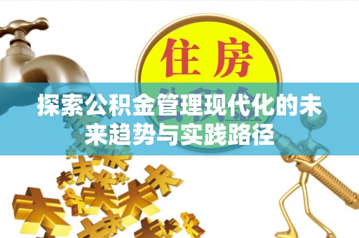 朴子探索公积金管理现代化的未来趋势与实践路径