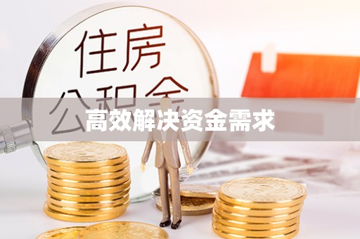 朴子高效解决资金需求
