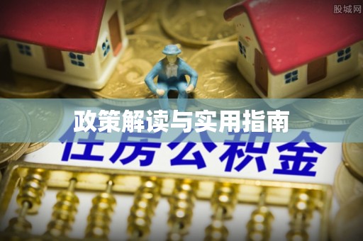 朴子政策解读与实用指南