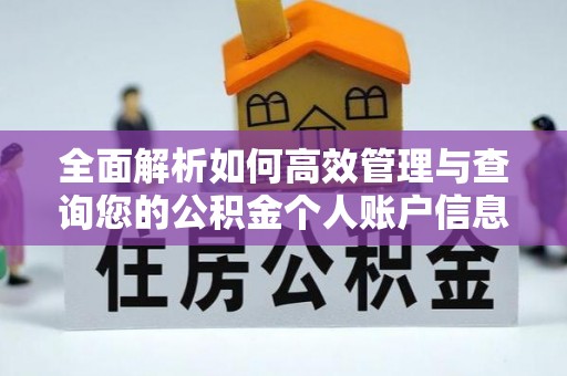 朴子全面解析如何高效管理与查询您的公积金个人账户信息