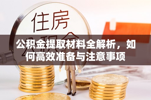 朴子公积金提取材料全解析，如何高效准备与注意事项